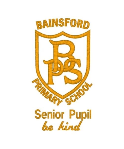 Bainsford Primary School senior pupil