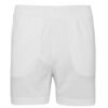 Arctic White