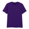 Fan Dark Purple