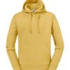 Mustard Yellow