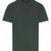 Bottle Green