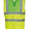 Lime Yoke/Yellow
