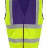 HV Yellow/Purple