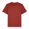Earthy Red